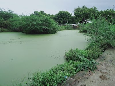 Baswari