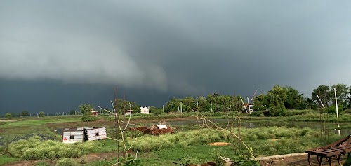 Mohanian