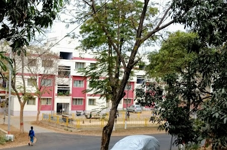 C-Type Park