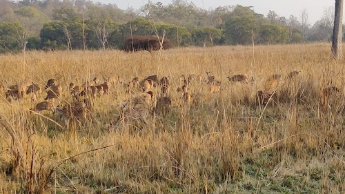 Dogadda Range
