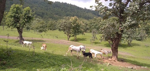 Sujapura