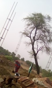 Bari Khera