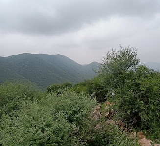 Jhadoli