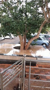 Sai Krupa Institute of Management Science