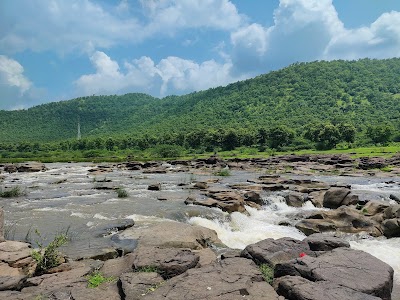 Choral Picnic Spot