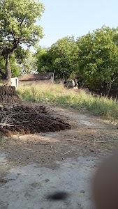 Burhansapur