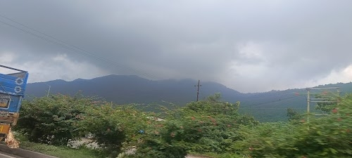 Dalma Hills