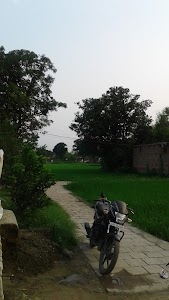 Chak Hira