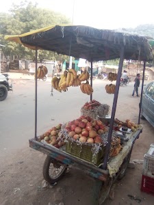Nirbhay Singh Phal Phurot Ki Dokan
