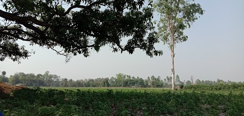 Dharampur