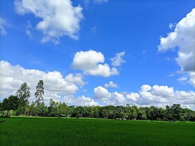 Barokona