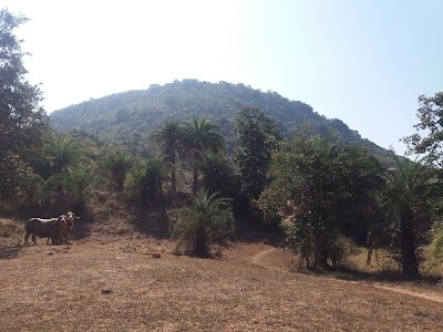 Kondagaon