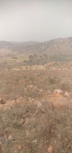 Gerai Ki Guwari