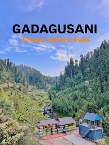 Gadagusain
