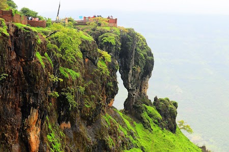 Elephant Point