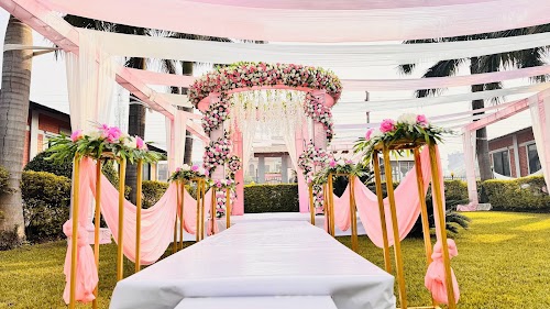 Wedding Dreams