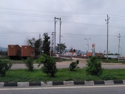 Assam Oil