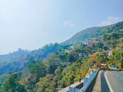 Tindharia