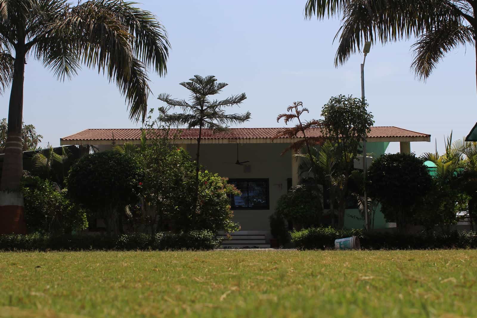 Brahmani Farm