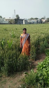 Kisal