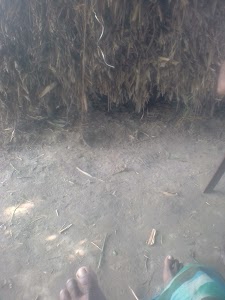 Chimni Bazar