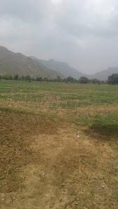 Rajpura