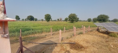 Basni Jojawar