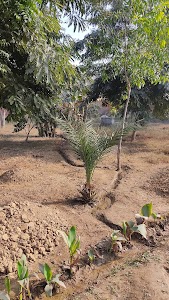 Muslim Kabristan, Pathankot, Baraut
