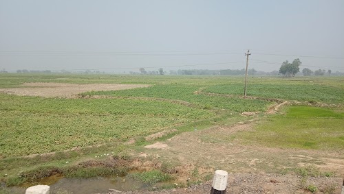 Haji Pur