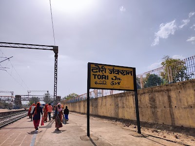 Tori Junction