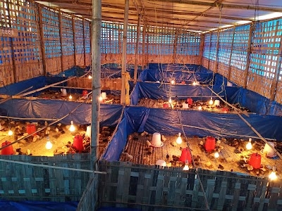 NAZ Agro Farm