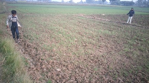 Ramji Chak, Mithila Colony, • Danapur