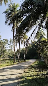 Piplibari