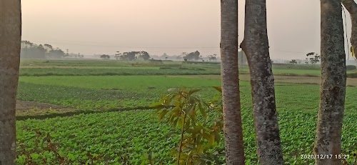 Alengmora