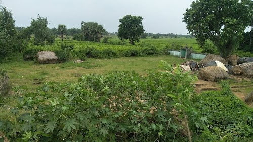 যাদবপুর ঈদগাহ ময়দান