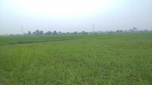 Undi (ताल)