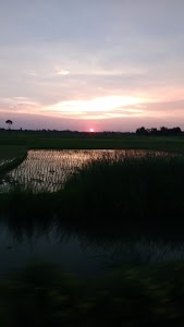 Baghi