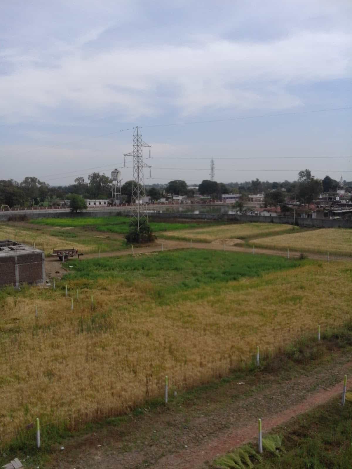 Phanda Kala