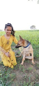 Dulkhara