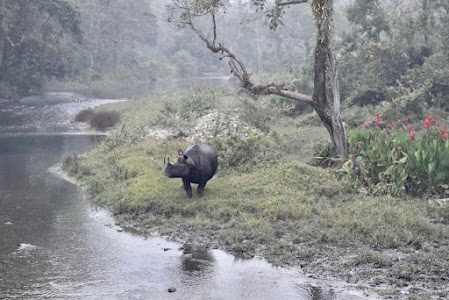 Jaldapara