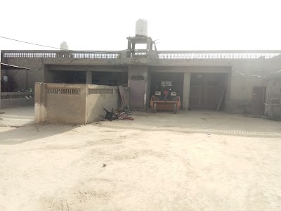 Tandian Wali Dahni