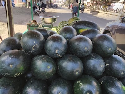 Dholva