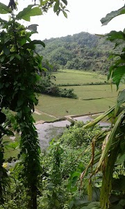 Zakiganj Upazila