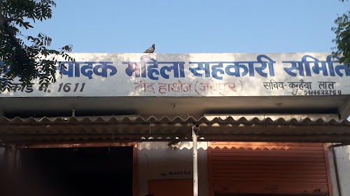 saras dairy