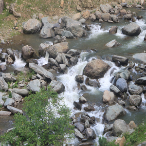 Ningli Nalla
