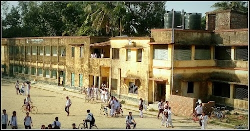 Tangrakhali P.J.P. High School (H.S.)
