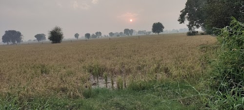 Pooth khurd