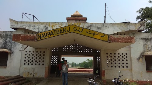 Narpatganj