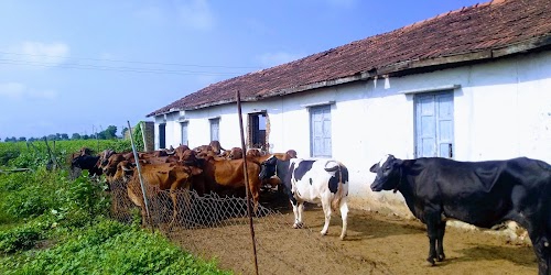 Valukad Village Ground