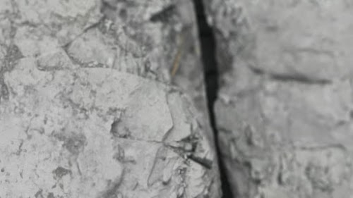 Coal